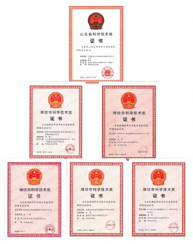 [good news] Longgang silicon Co., Ltd. won the first prize of Weifang Science and Technology Progress Award！